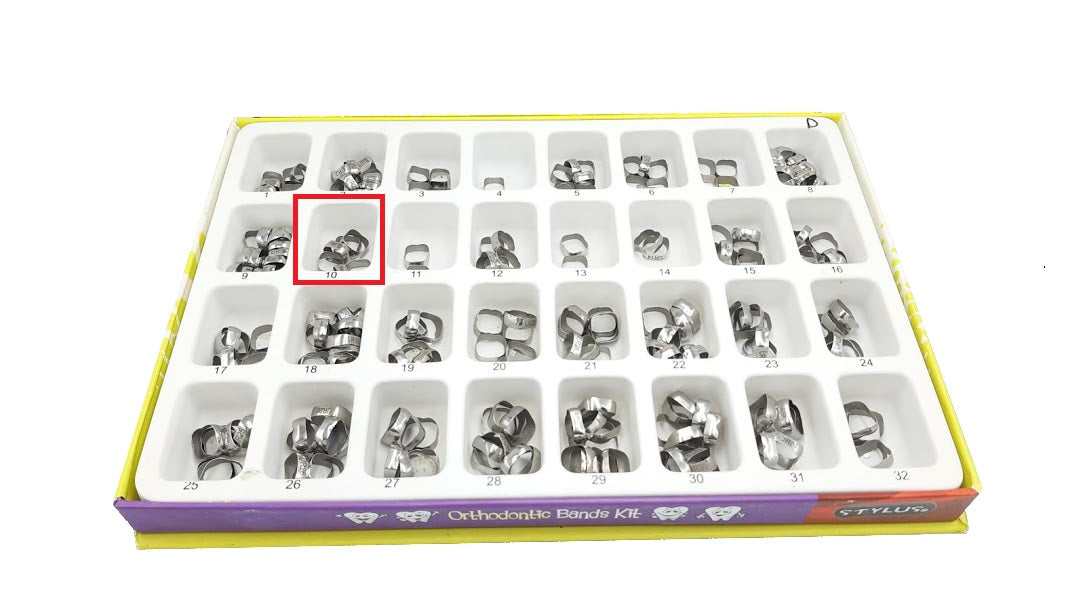Banda anatomica 1 molar Borgatta Upper