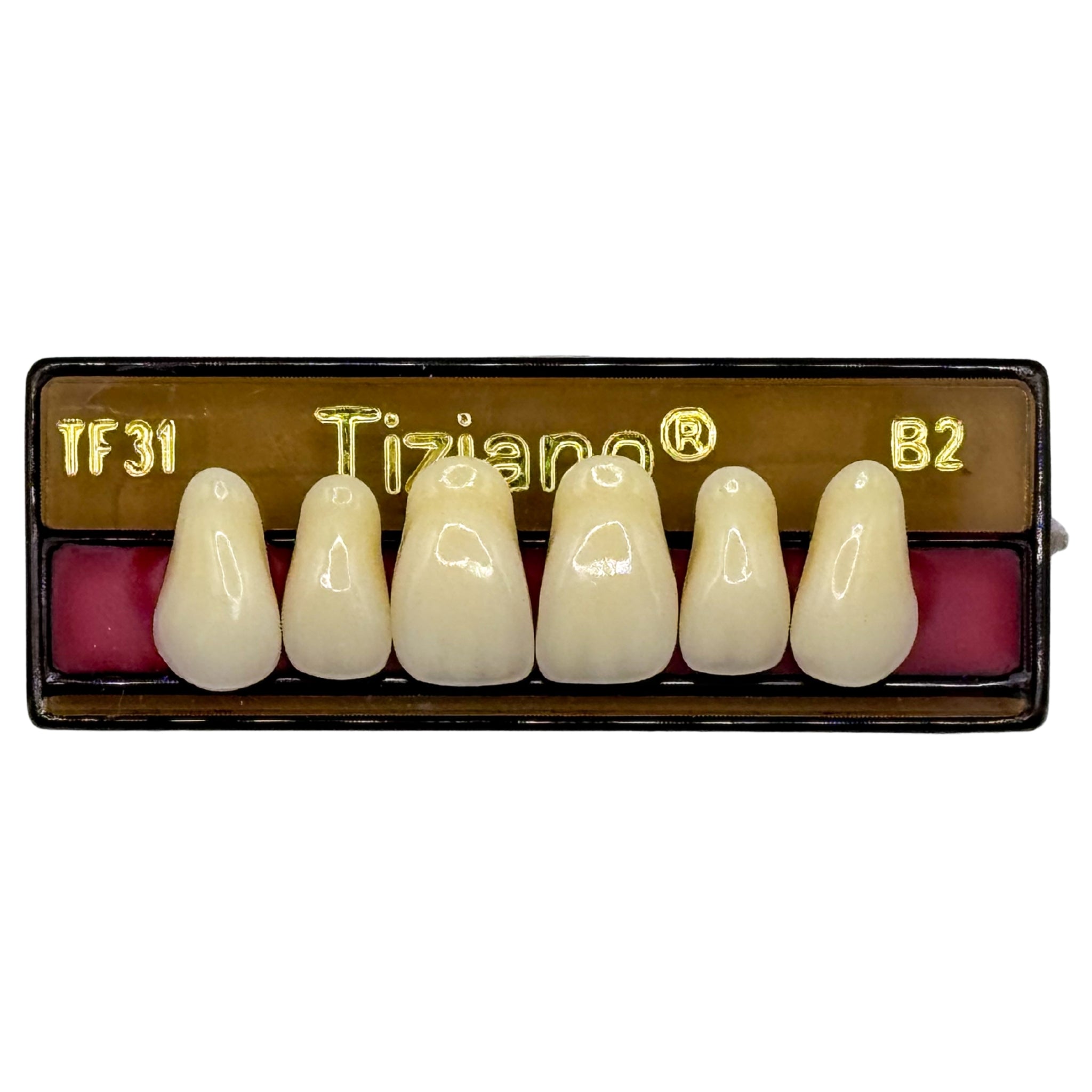 Dientes tiziano x 6 sa TF31 col B2