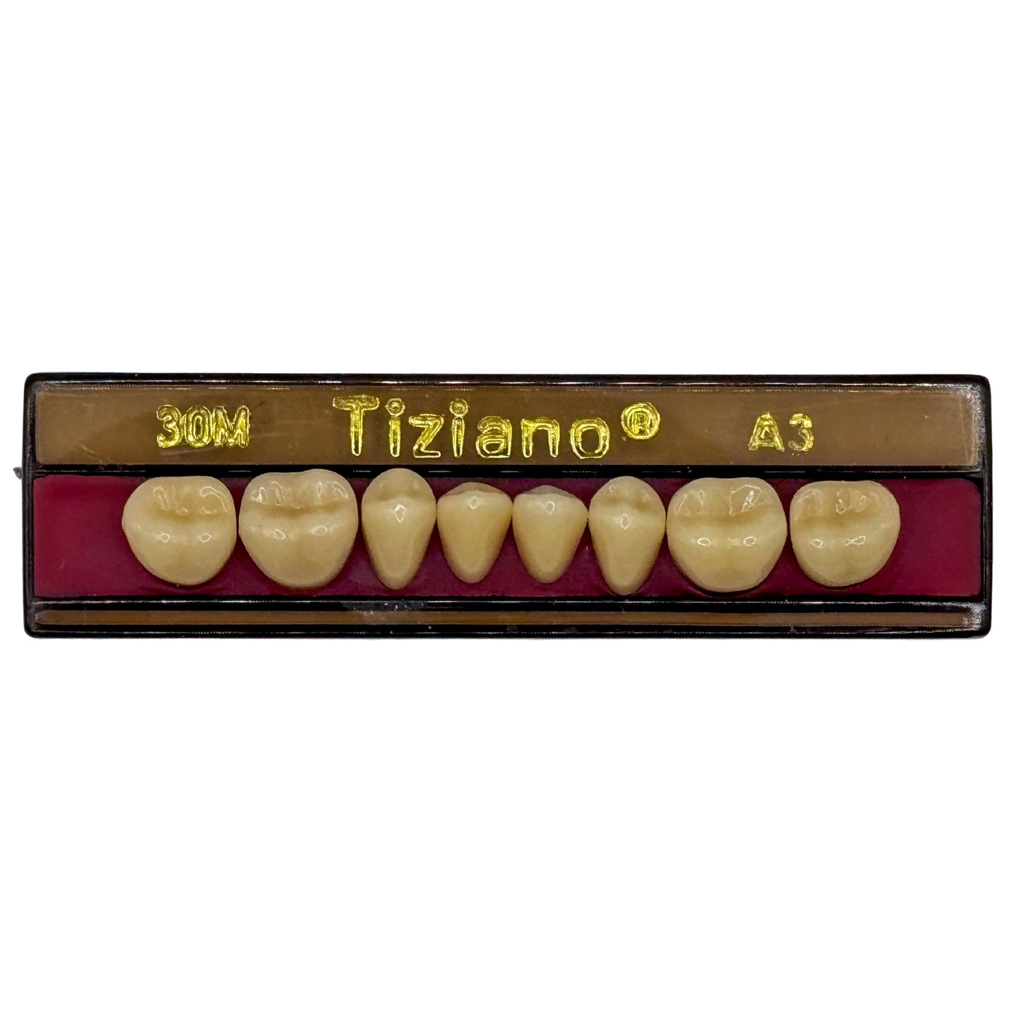 Dientes tiziano x 8 ip 30M col A3