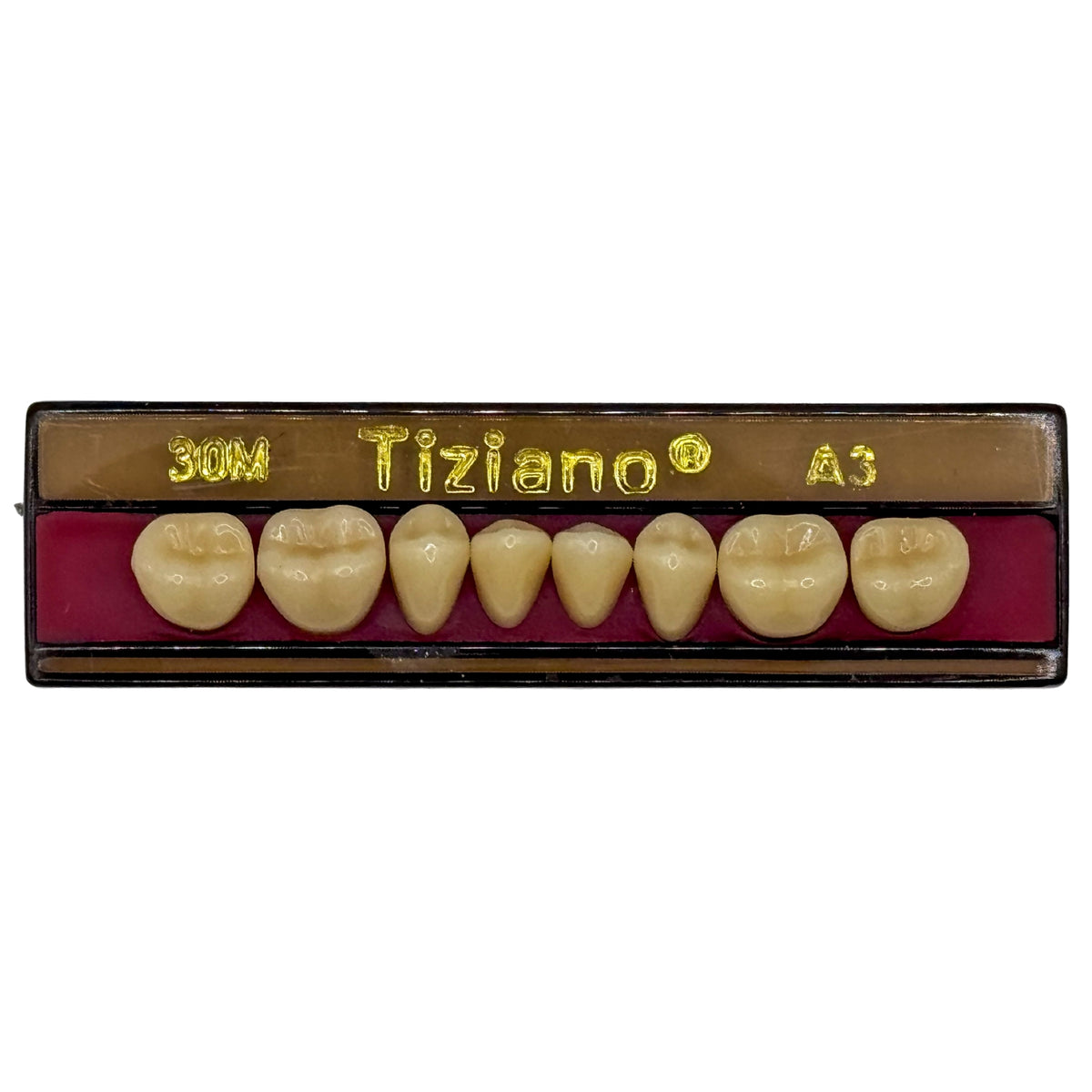 Dientes Tiziano inferior posterior
