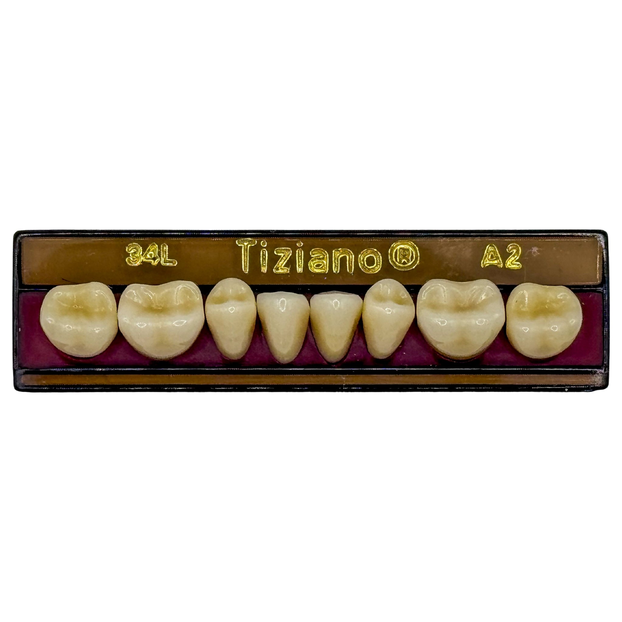 Dientes tiziano x 8 ip 34L col A2