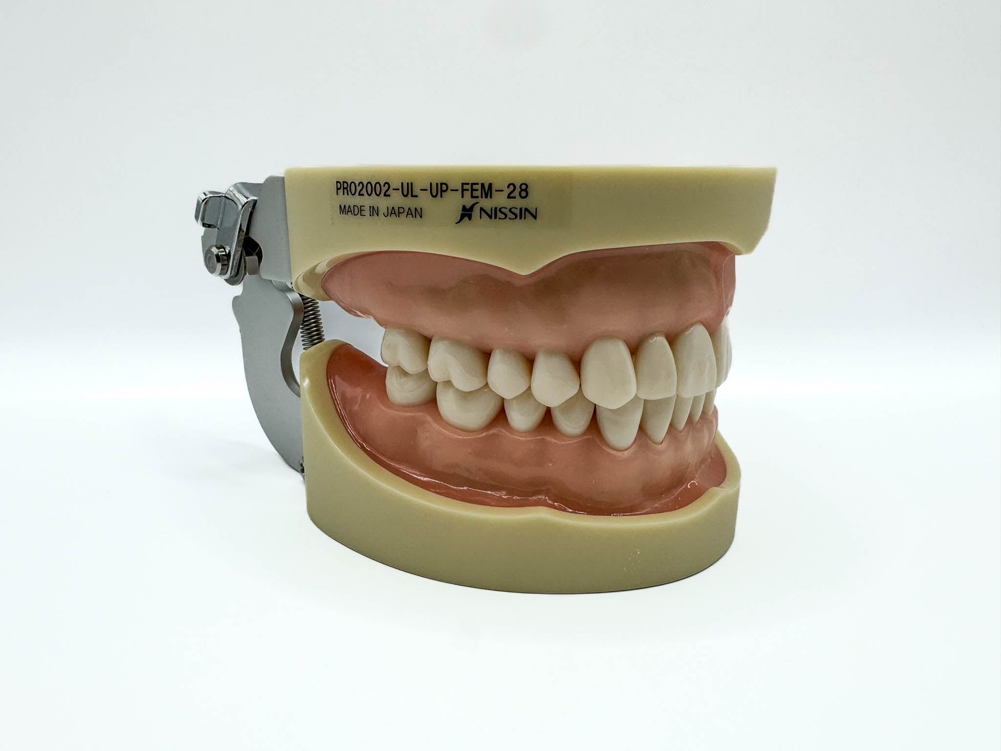 Tipodonto Nissin 28 dientes adulto (original)