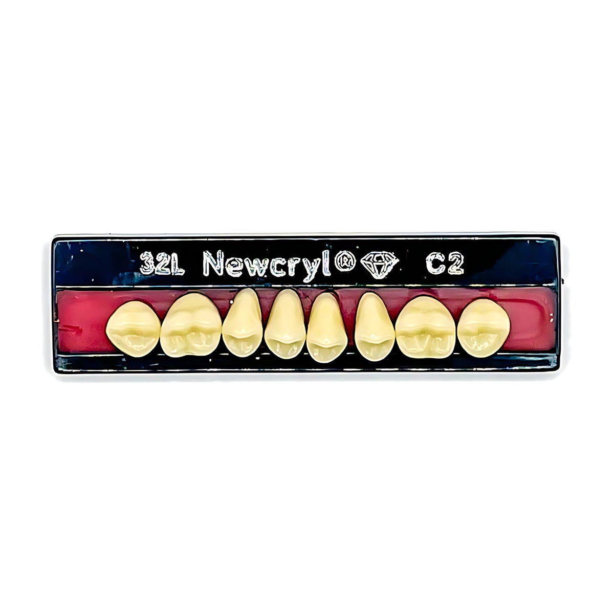 Dientes newcryl superior posterior
