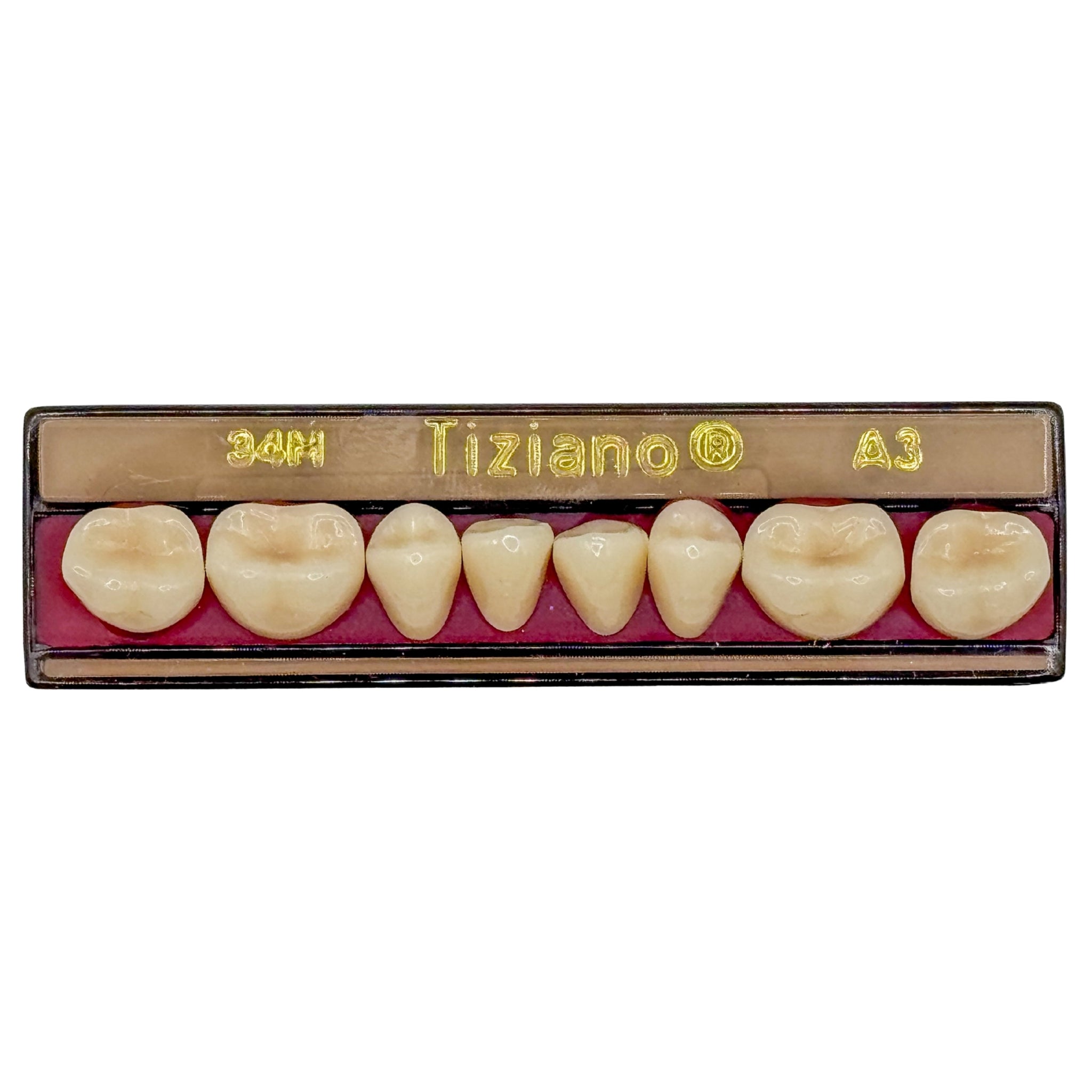 Dientes tiziano x 8 ip 34M col A3