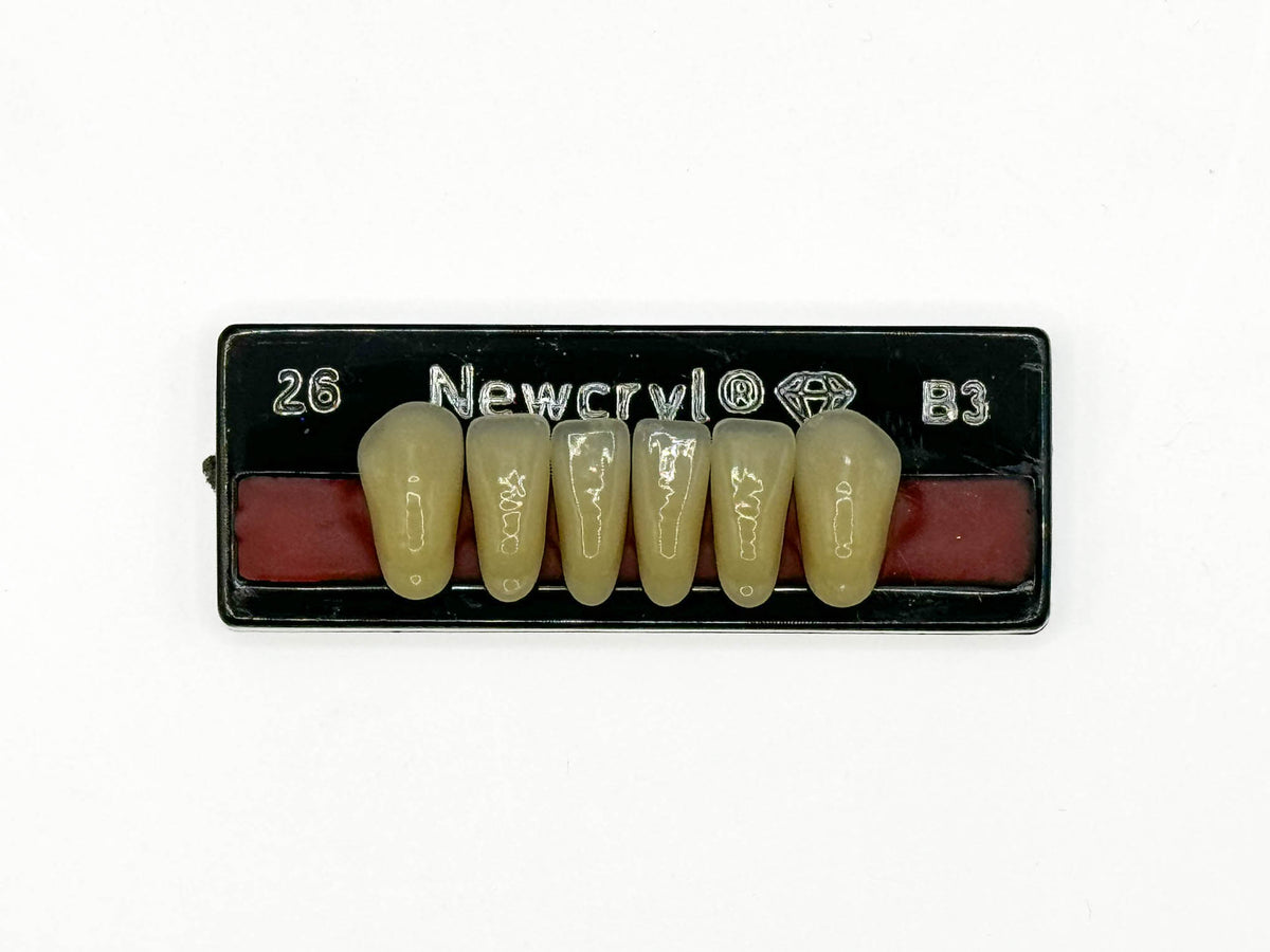 Dientes newcryl inferior anterior