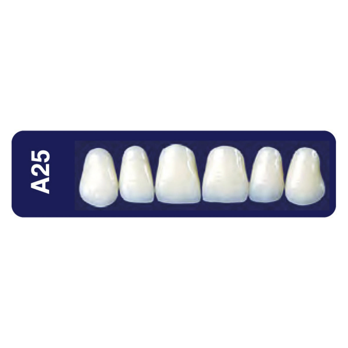 Diente new tek anterior superior — 150-A25-59S