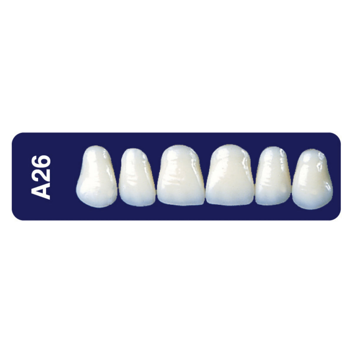 Diente new tek anterior superior — 150-A26-65S