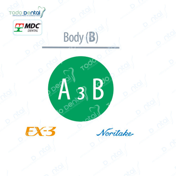 Ex-3 Noritake(Body, Enamel, Opacius body)
