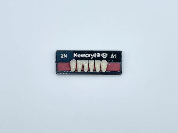 Dientes newcryl x 6 ia 2n col a1