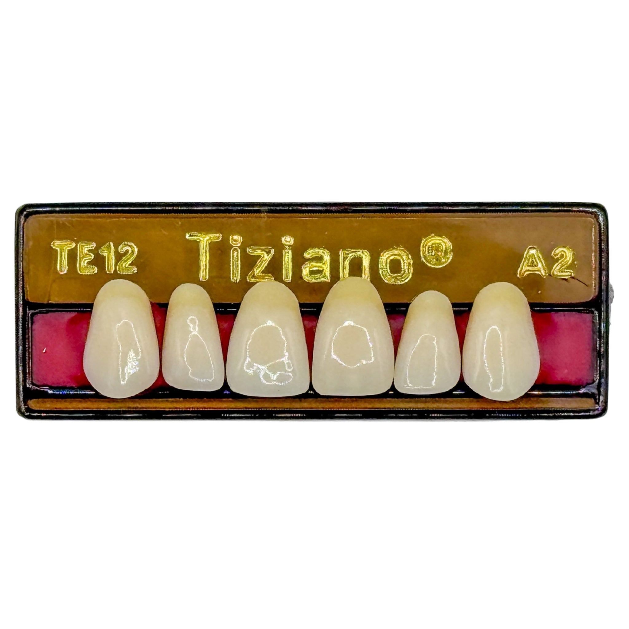Dientes tiziano x 6 sa TE12 col A2