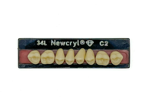 Dientes newcryl-vita x 8 sp 34l col c2