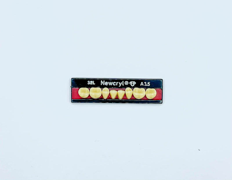 Dientes newcryl-vita x 8 ip 32l col a3.5