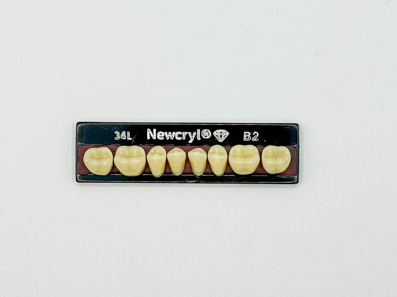 Dientes newcryl-vita x 8 ip 34l col b2