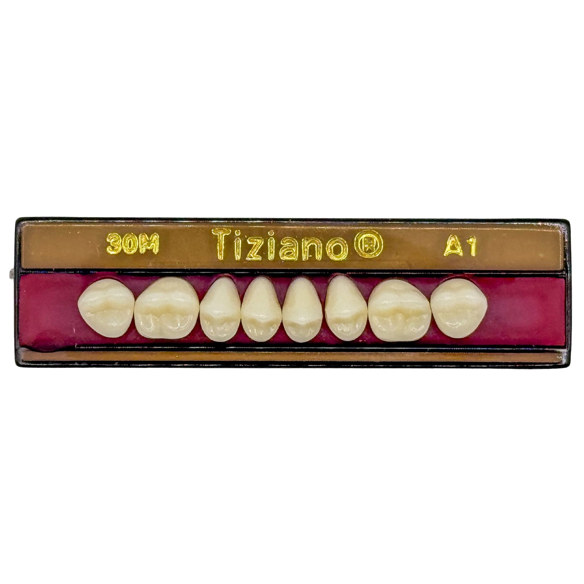 Dientes tiziano x 8 sp 30m col A1