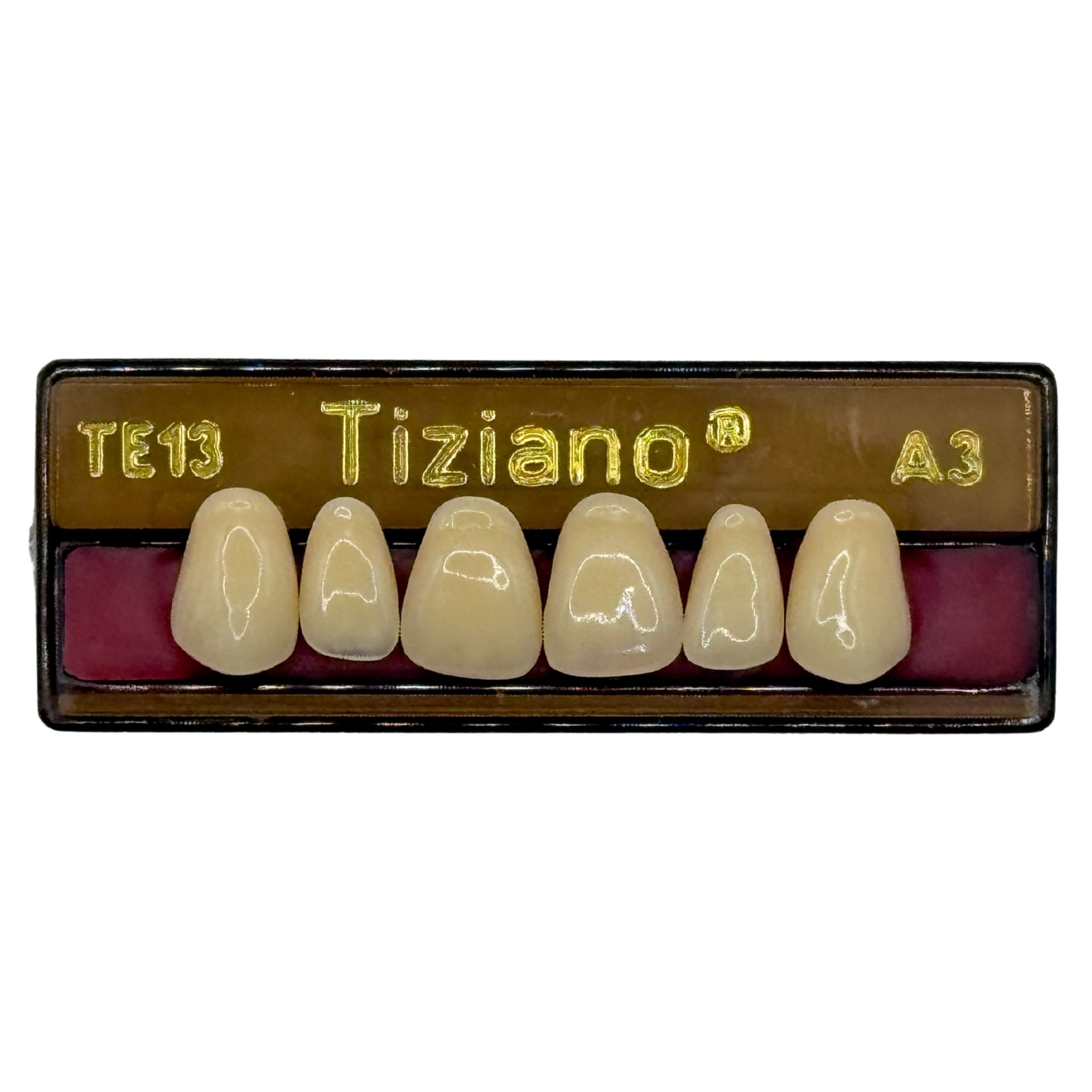 Dientes tiziano x 6 sa TE13 col A3