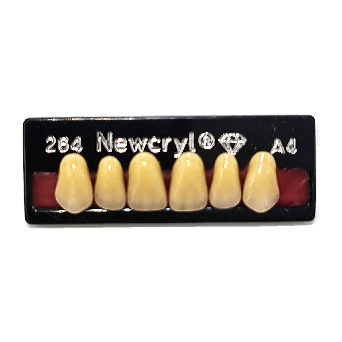 Dientes newcryl superior anterior moldes grandes