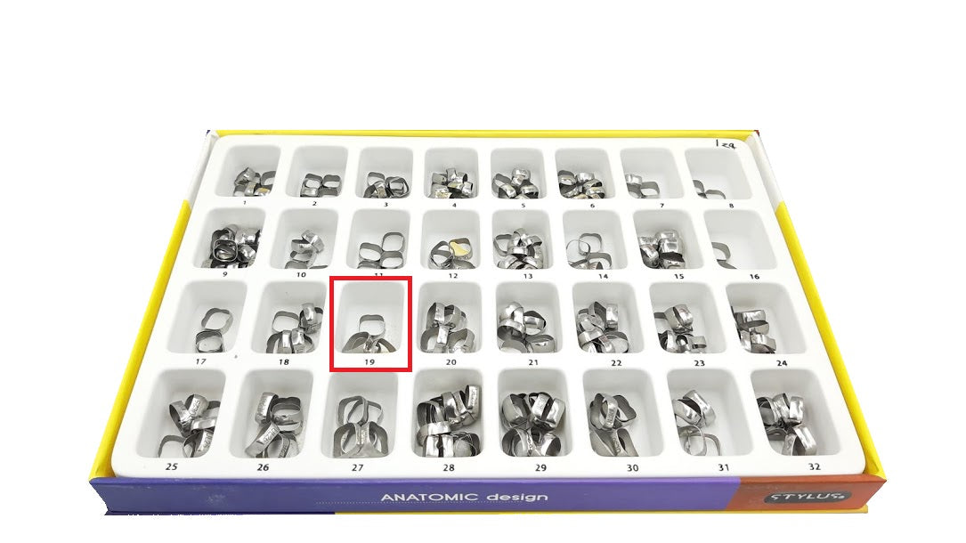 Banda anatomica 1 molar Borgatta Upper