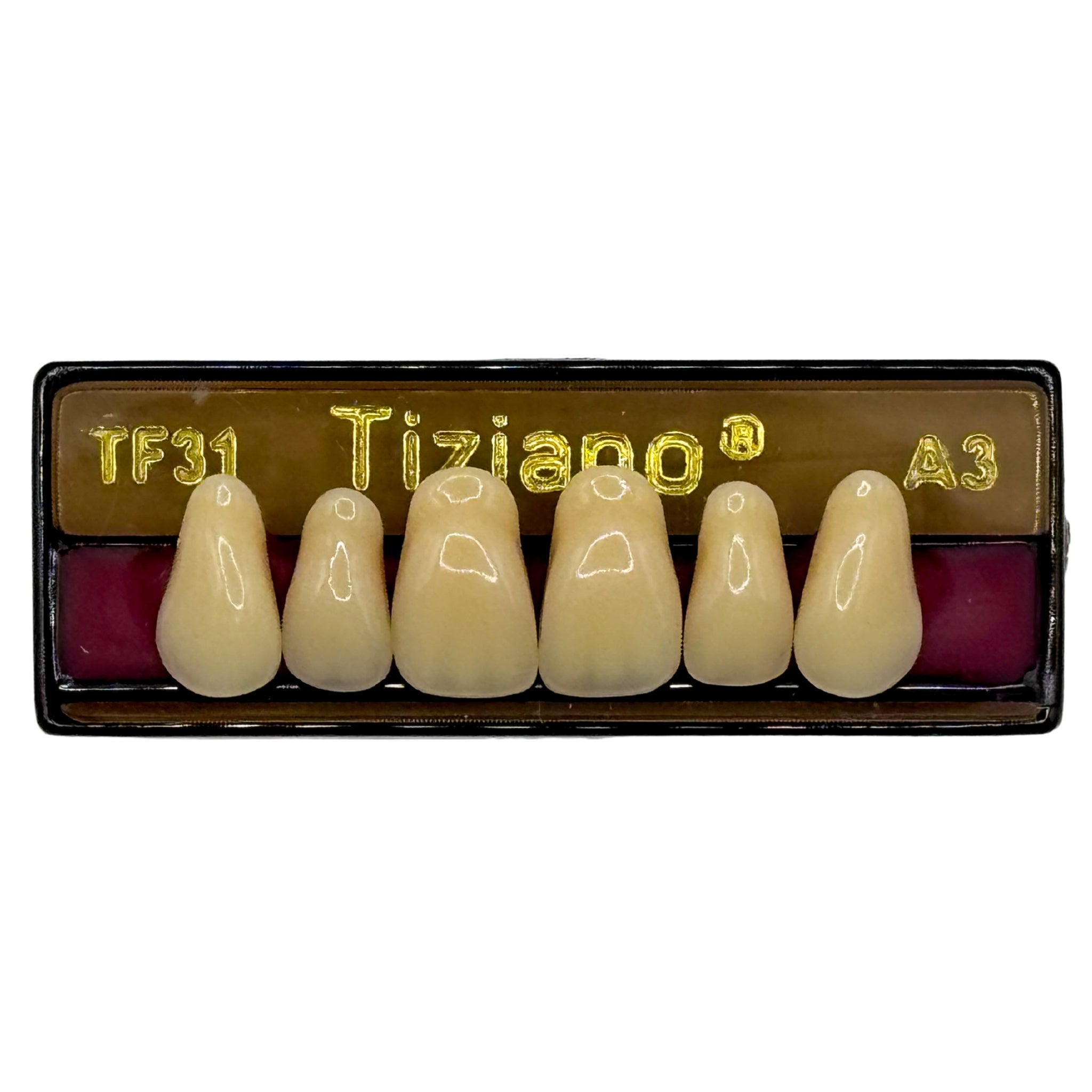 Dientes tiziano x 6 sa TF31 col A3