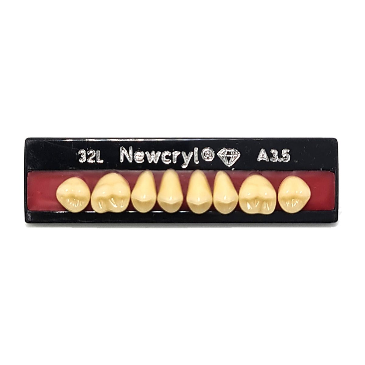 Dientes newcryl superior posterior