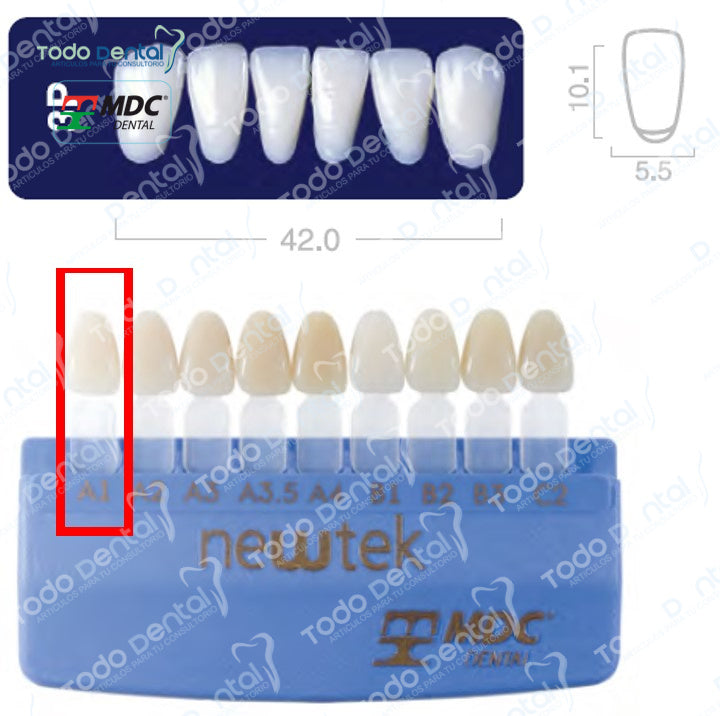 Diente new tek anterior inferior