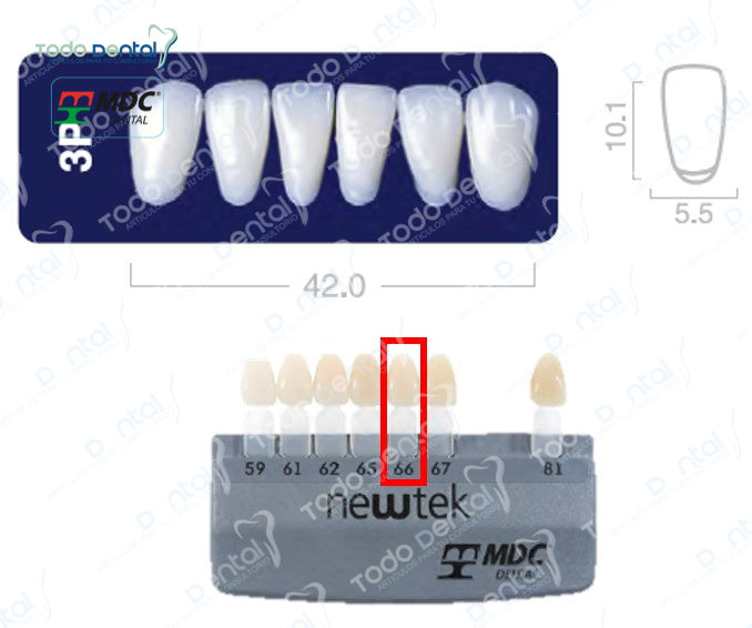 Diente new tek anterior inferior