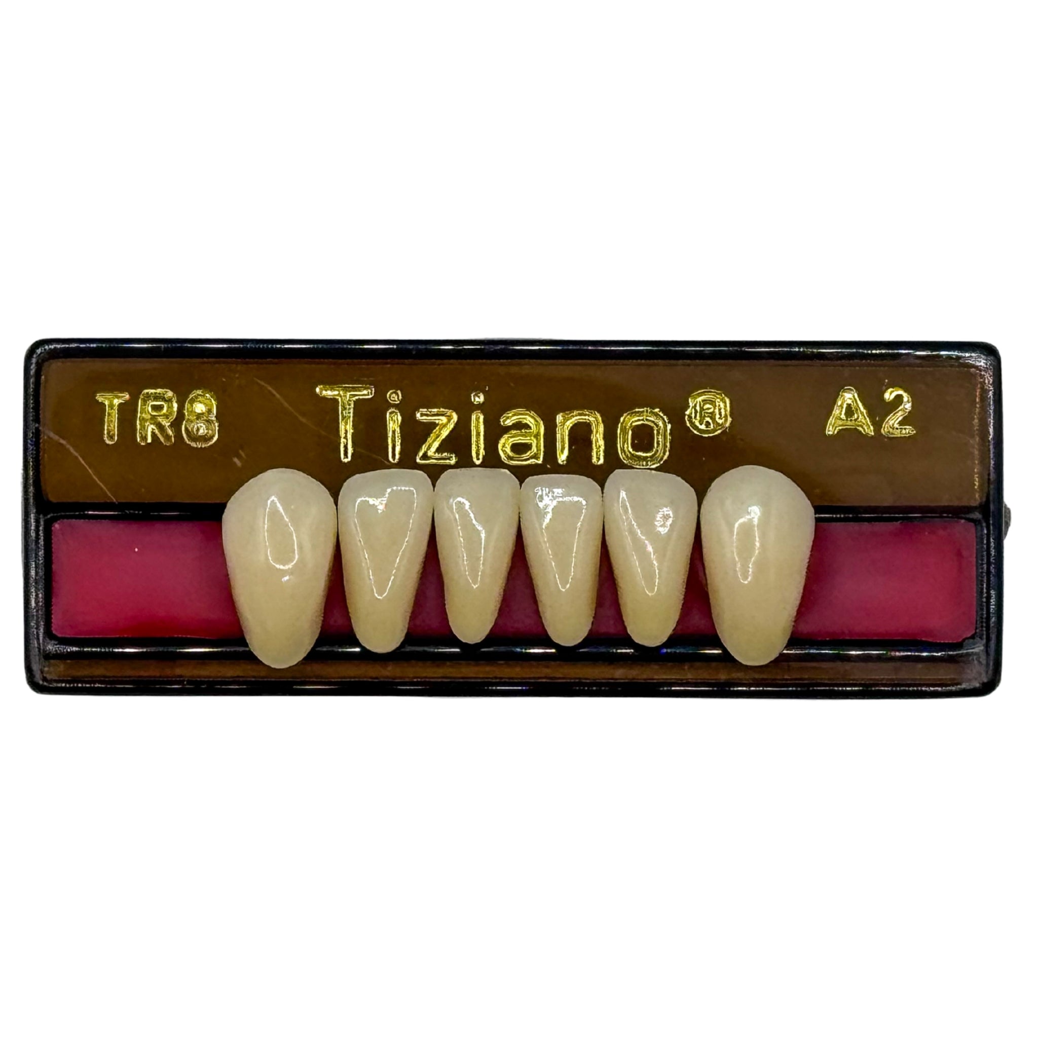 Dientes tiziano x 6 ia TR8 col A2