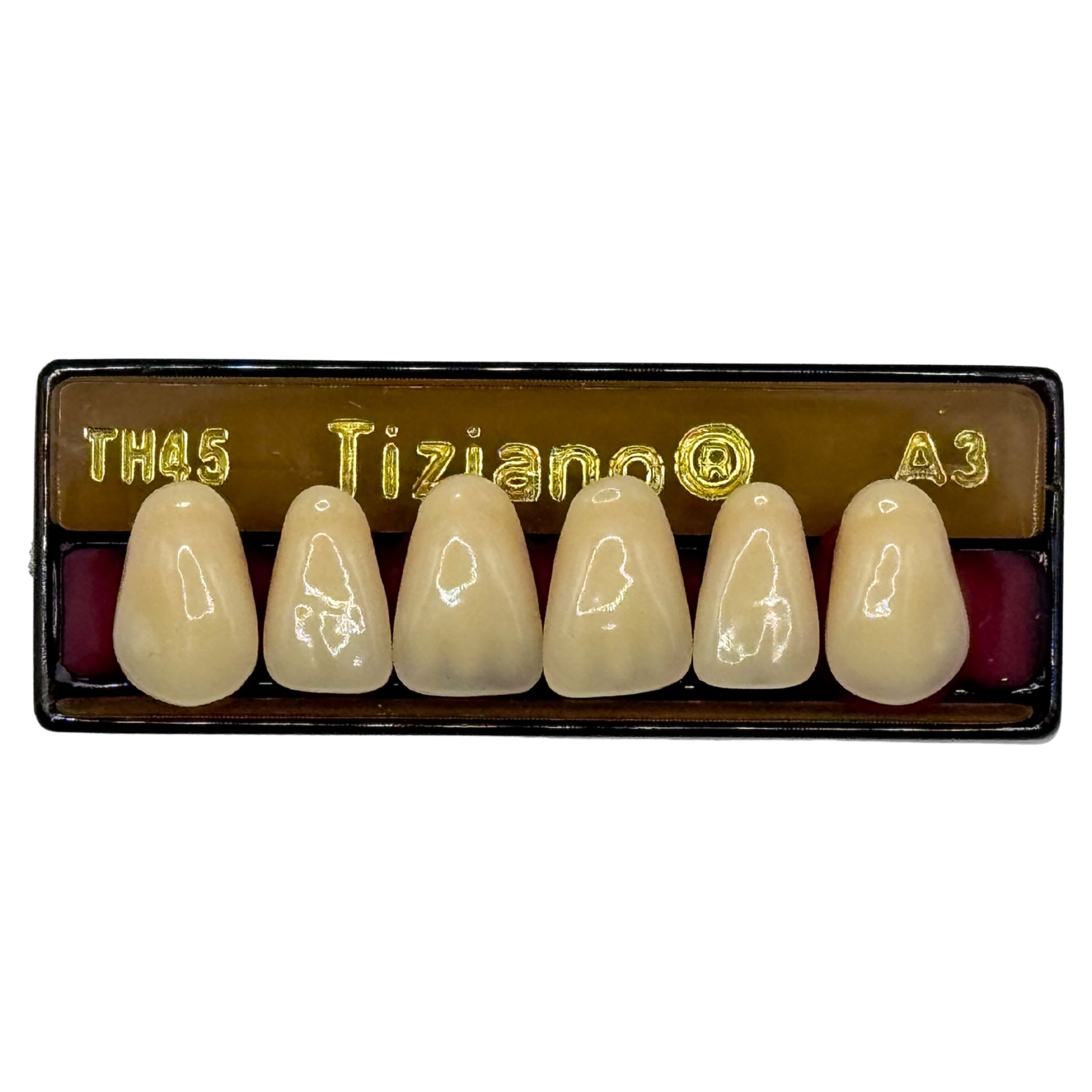 Dientes tiziano x 6 sa TH45 col A3