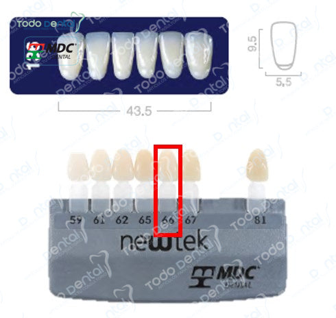 Diente new tek anterior inferior