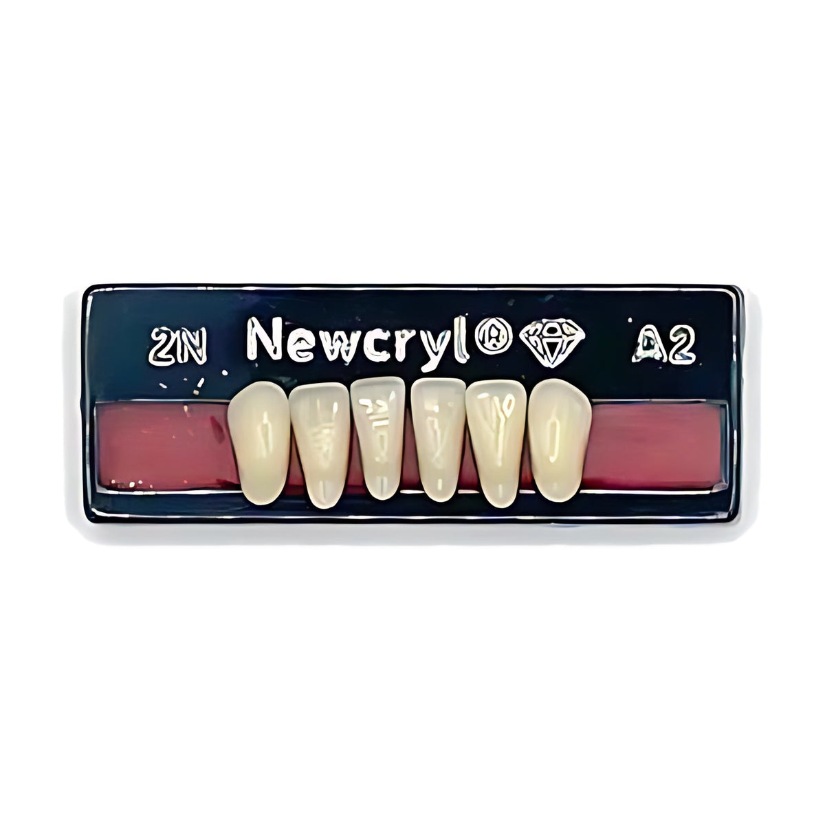 Dientes newcryl inferior anterior