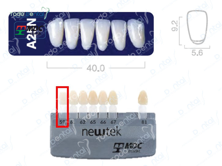 Diente new tek anterior inferior