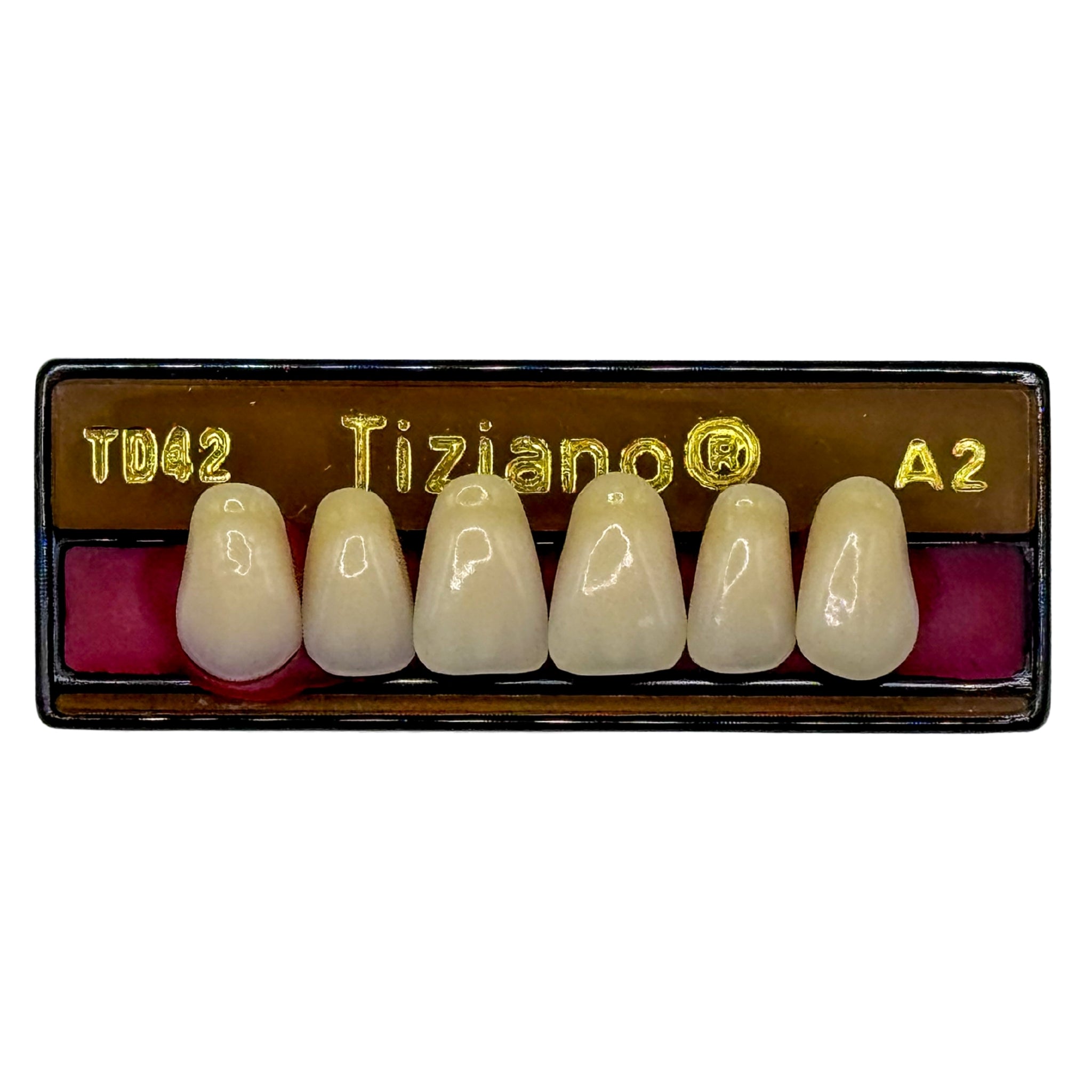 Dientes tiziano x 6 sa TD42 col A2