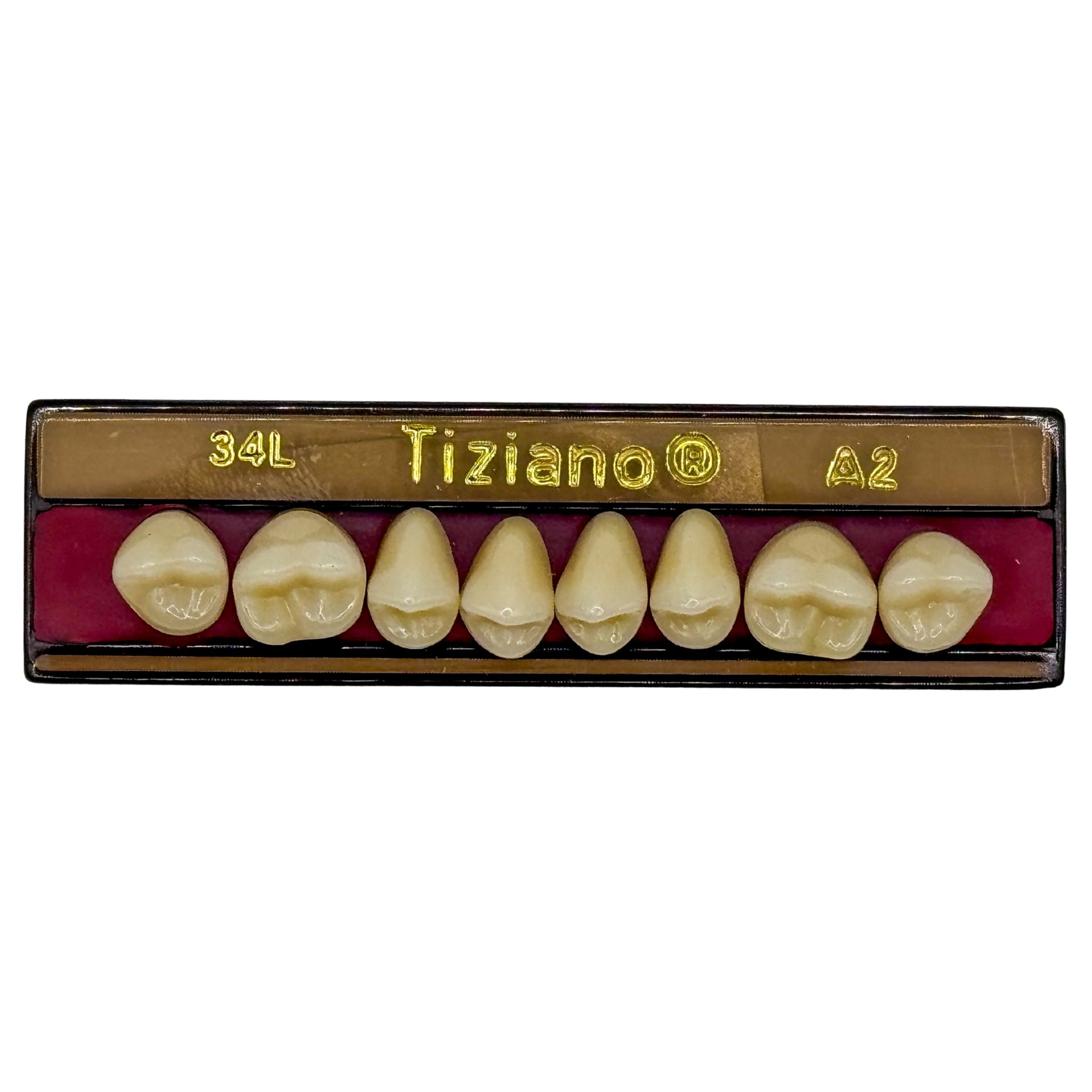 Dientes tiziano x 8 sp 34L col A2