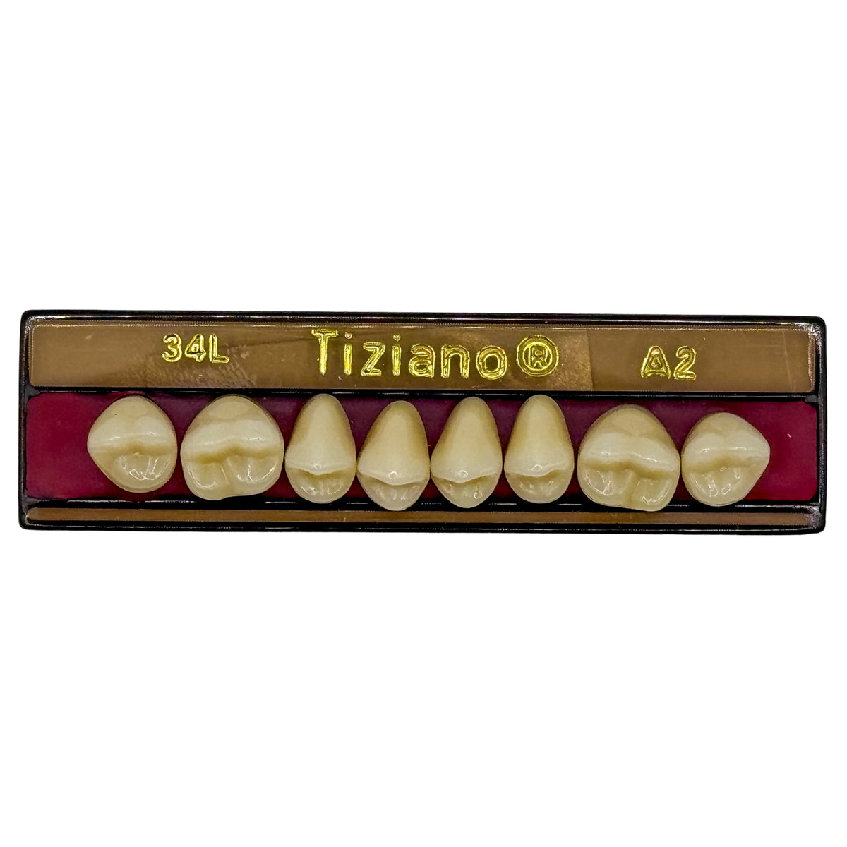 Dientes Tiziano superior posterior