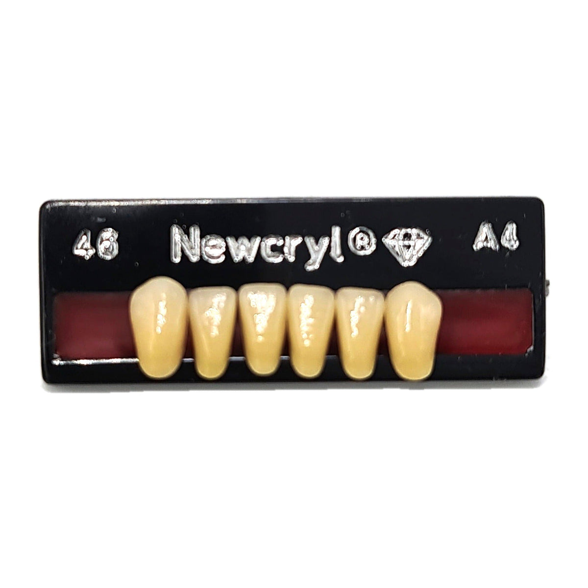 Dientes newcryl inferior anterior