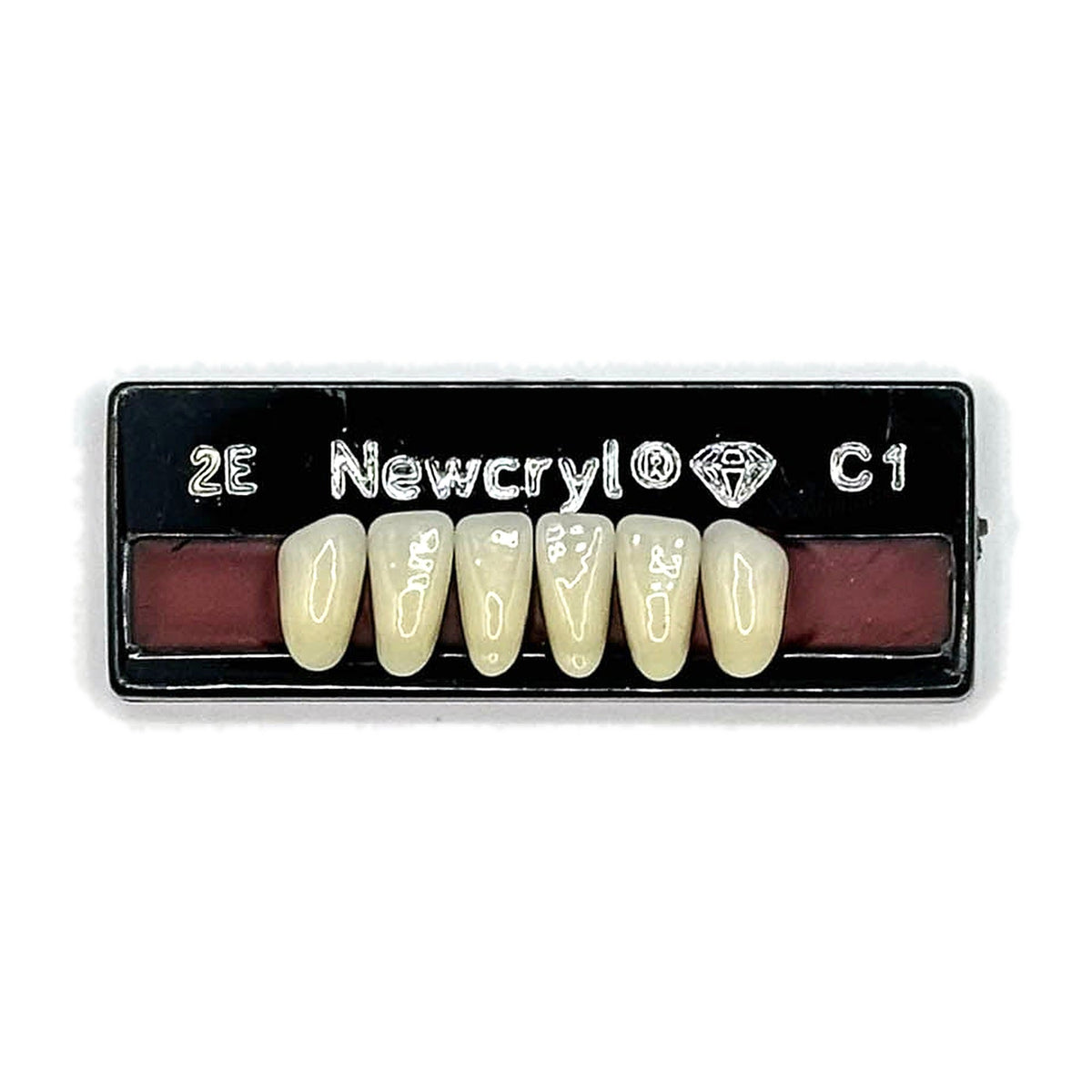 Dientes newcryl inferior anterior