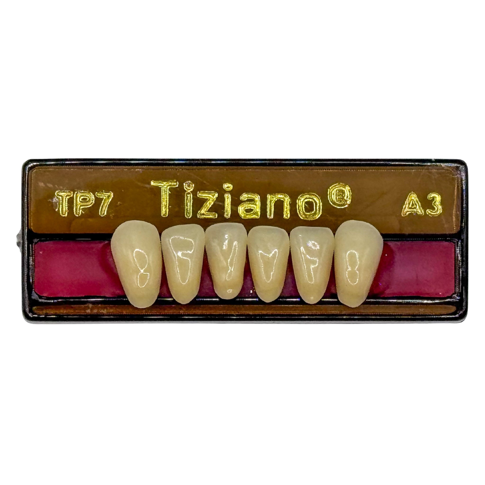 Dientes tiziano x 6 ia TP7 col A3
