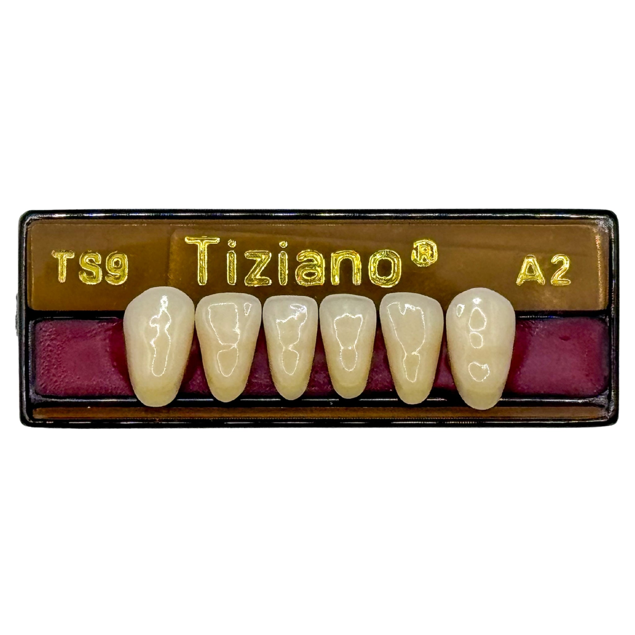 Dientes tiziano x 6 ia TS9 col A2