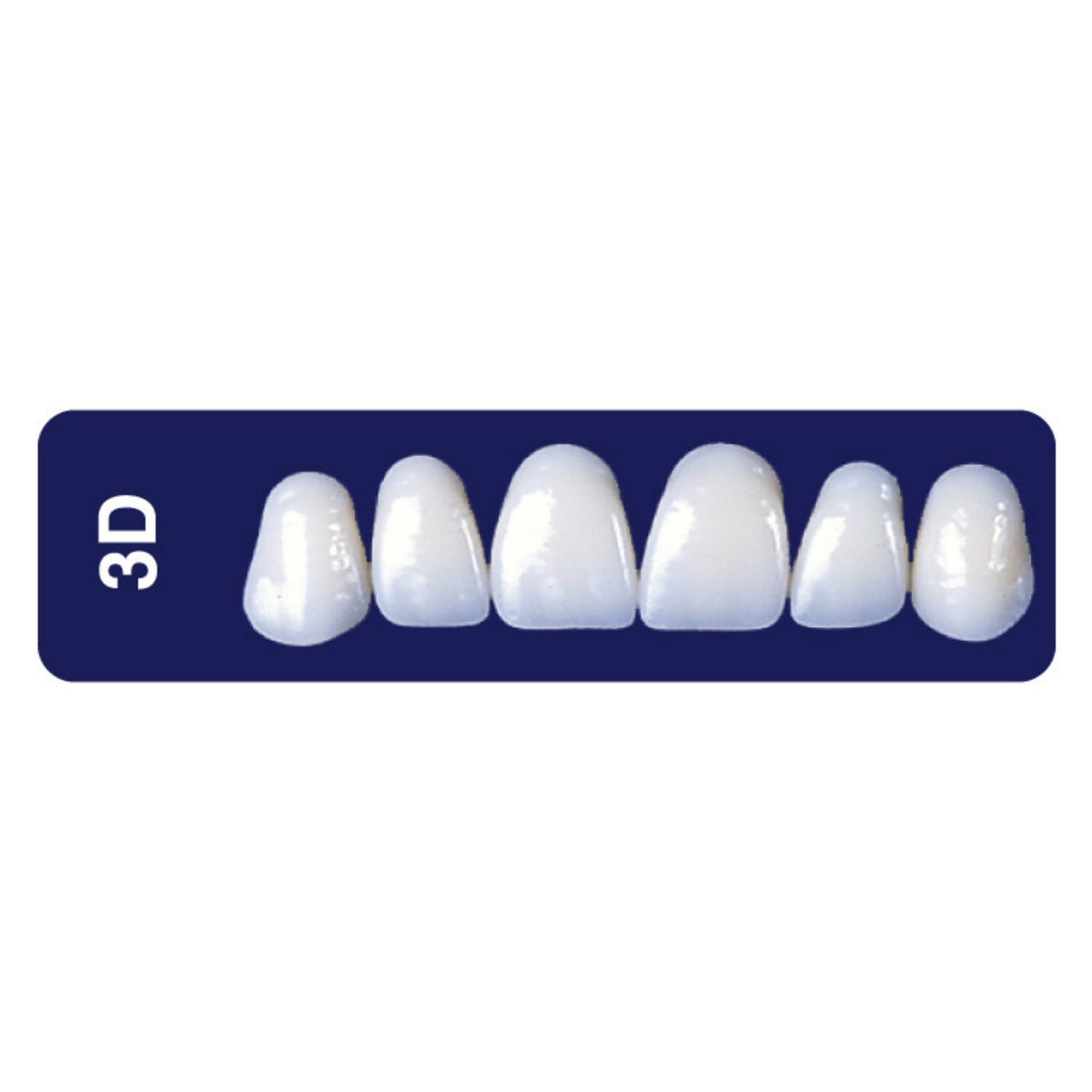 Diente new tek anterior superior — 150-3D-A2S