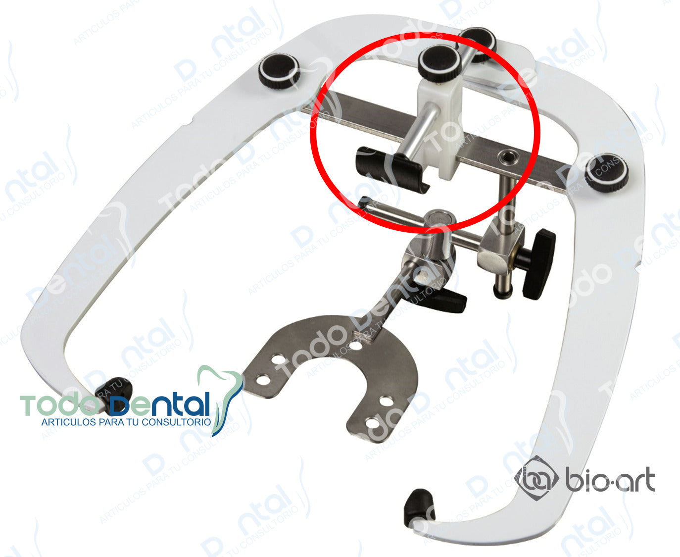 Conjunto relator nasion