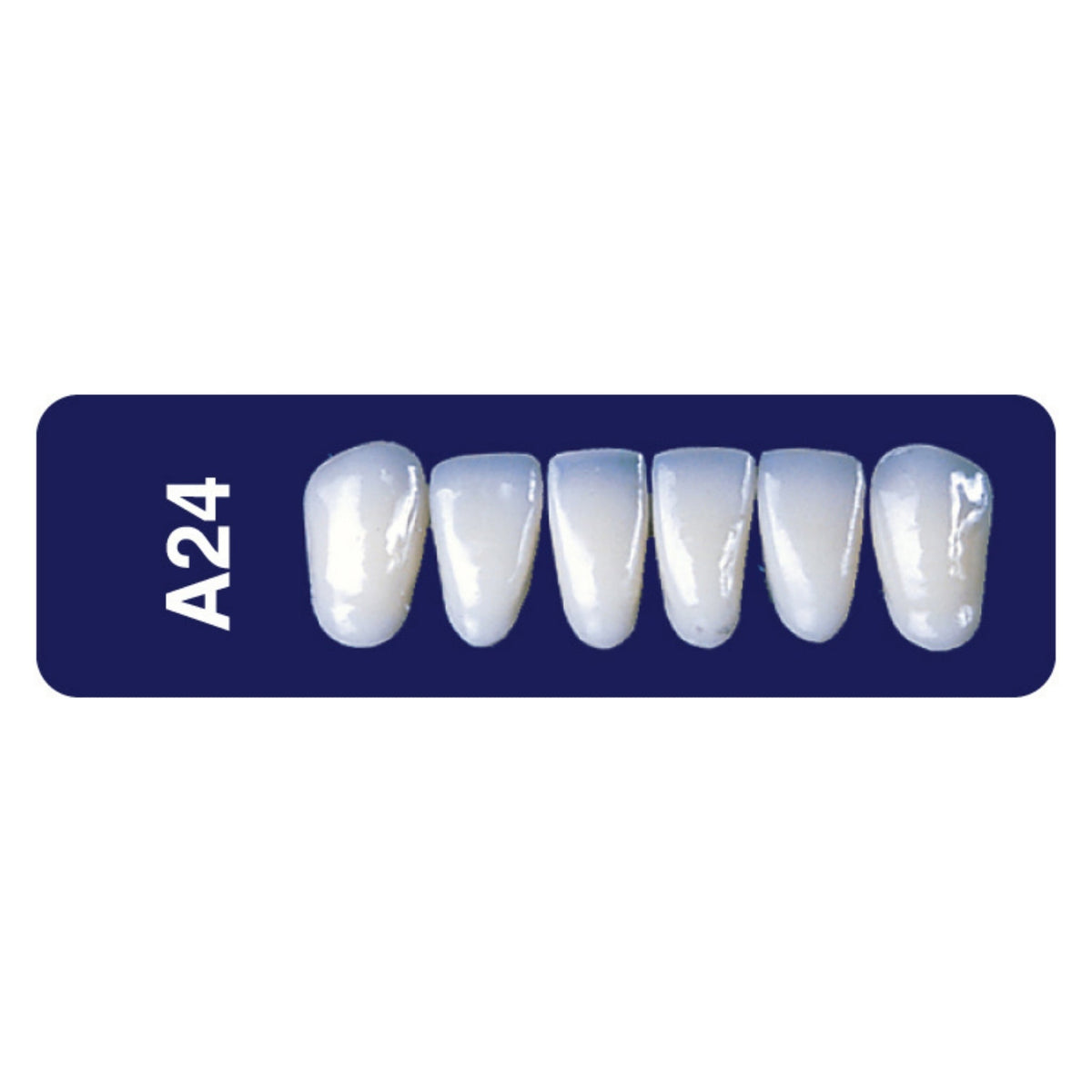Diente new tek anterior inferior — 150-A24-A1I