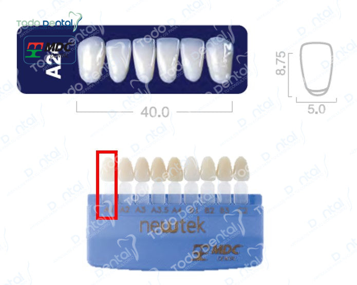 Diente new tek anterior inferior