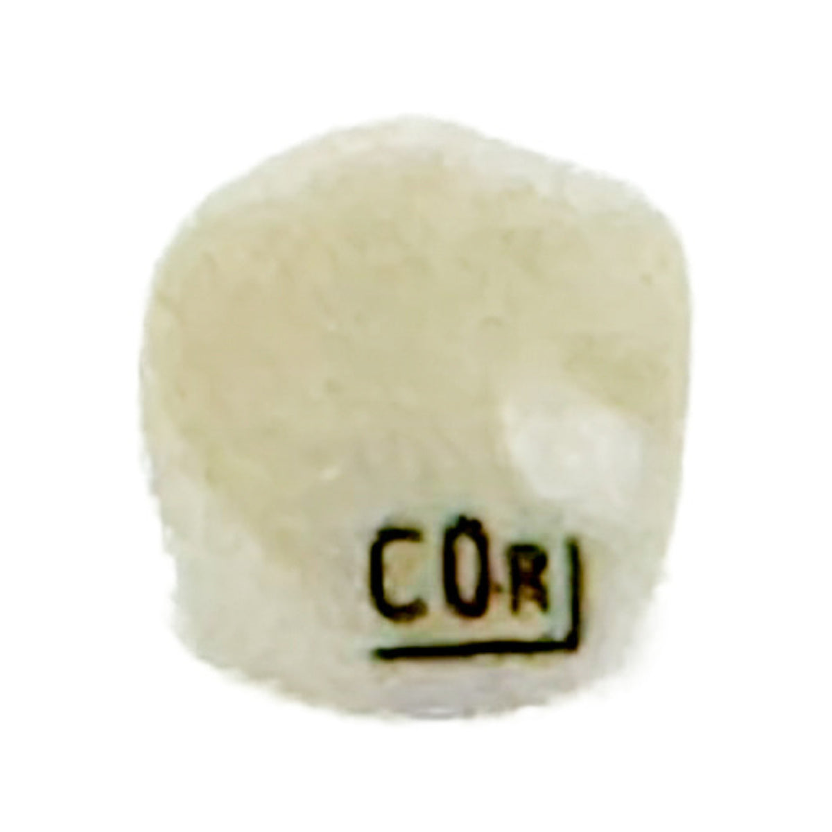 Corona zirconia nusmile anterior, lateral y canino