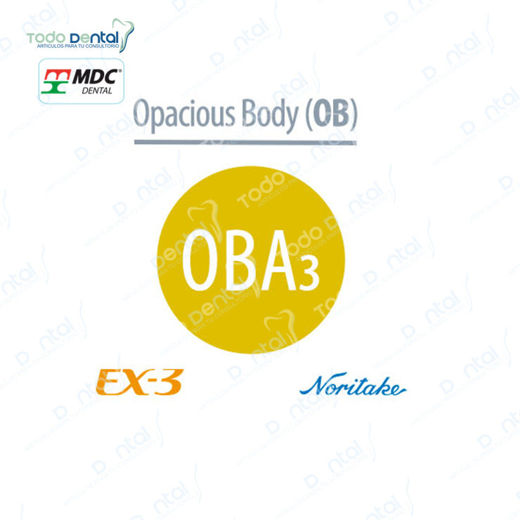 Ex-3 Noritake(Body, Enamel, Opacius body)