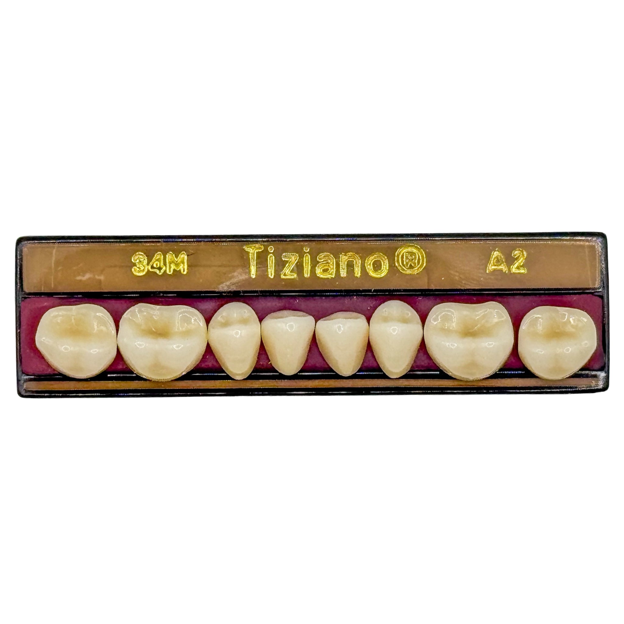 Dientes tiziano x 8 ip 34M col A2
