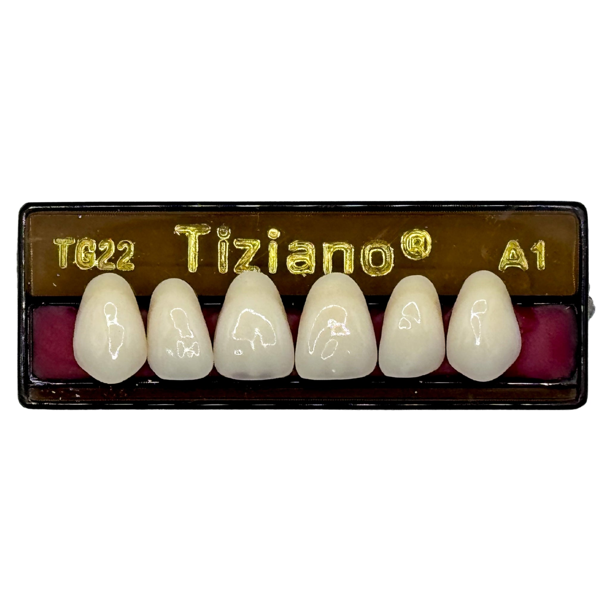 Dientes tiziano x 6 sa TG22 col A1