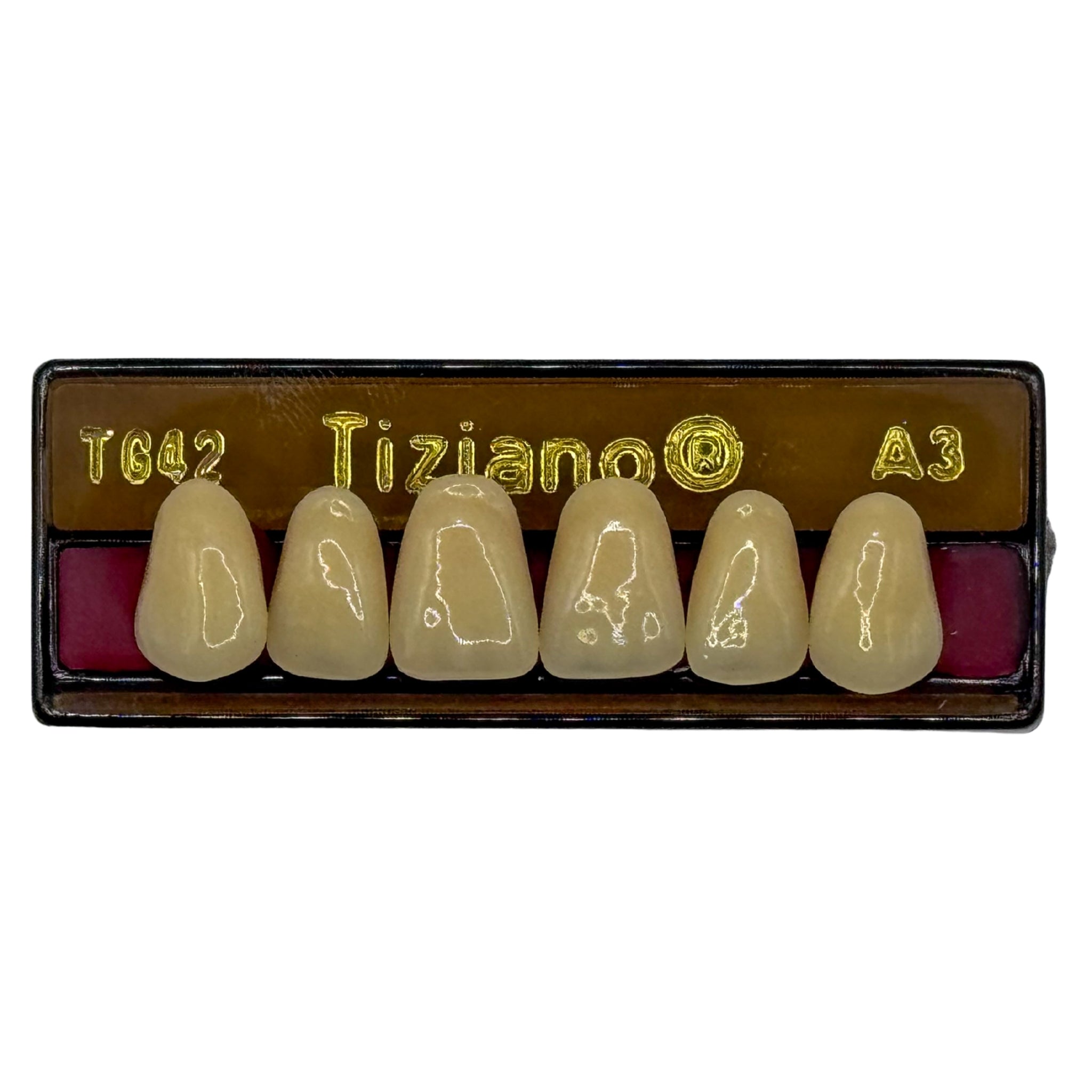 Dientes tiziano x 6 sa TG42 col A3