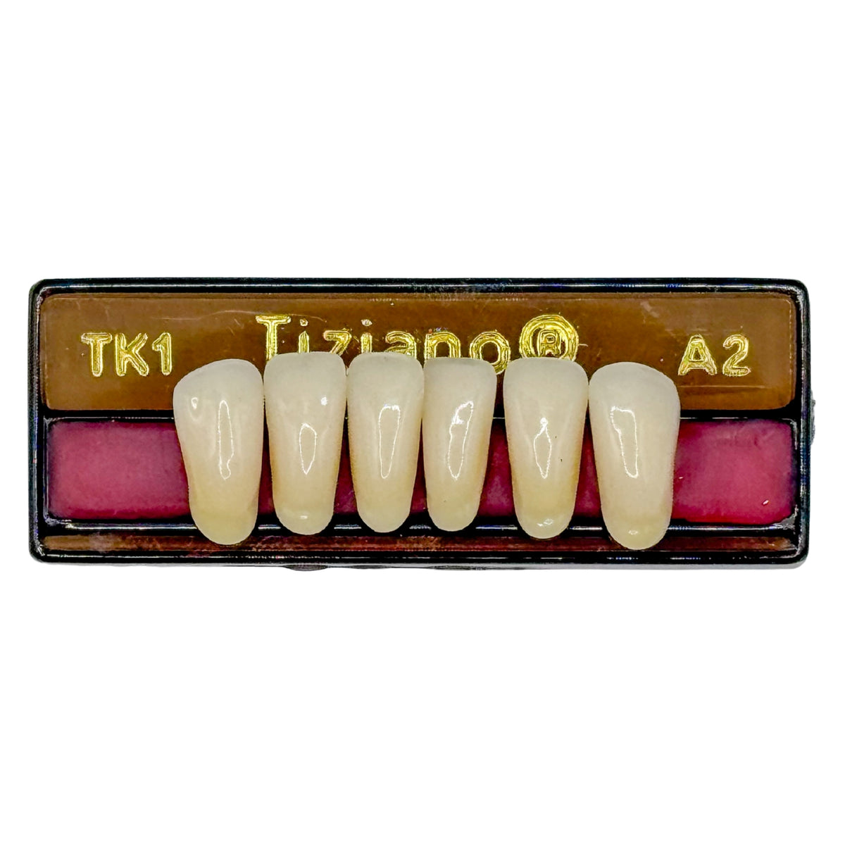 Dientes Tiziano inferior anterior