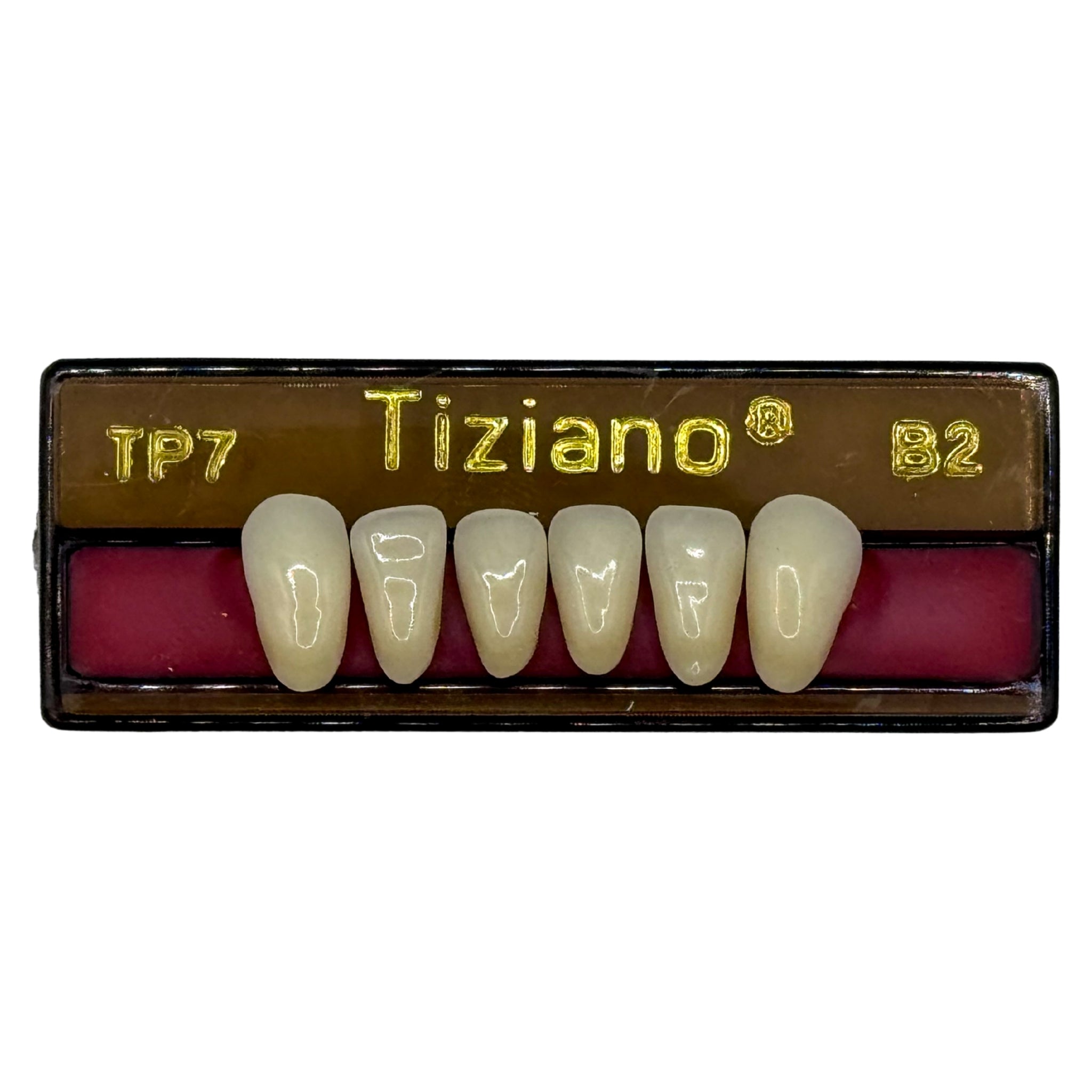 Dientes tiziano x 6 ia TP7 col B2