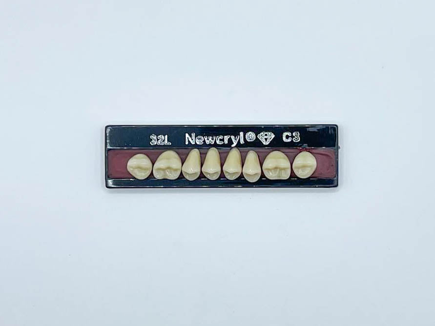 Dientes newcryl superior posterior
