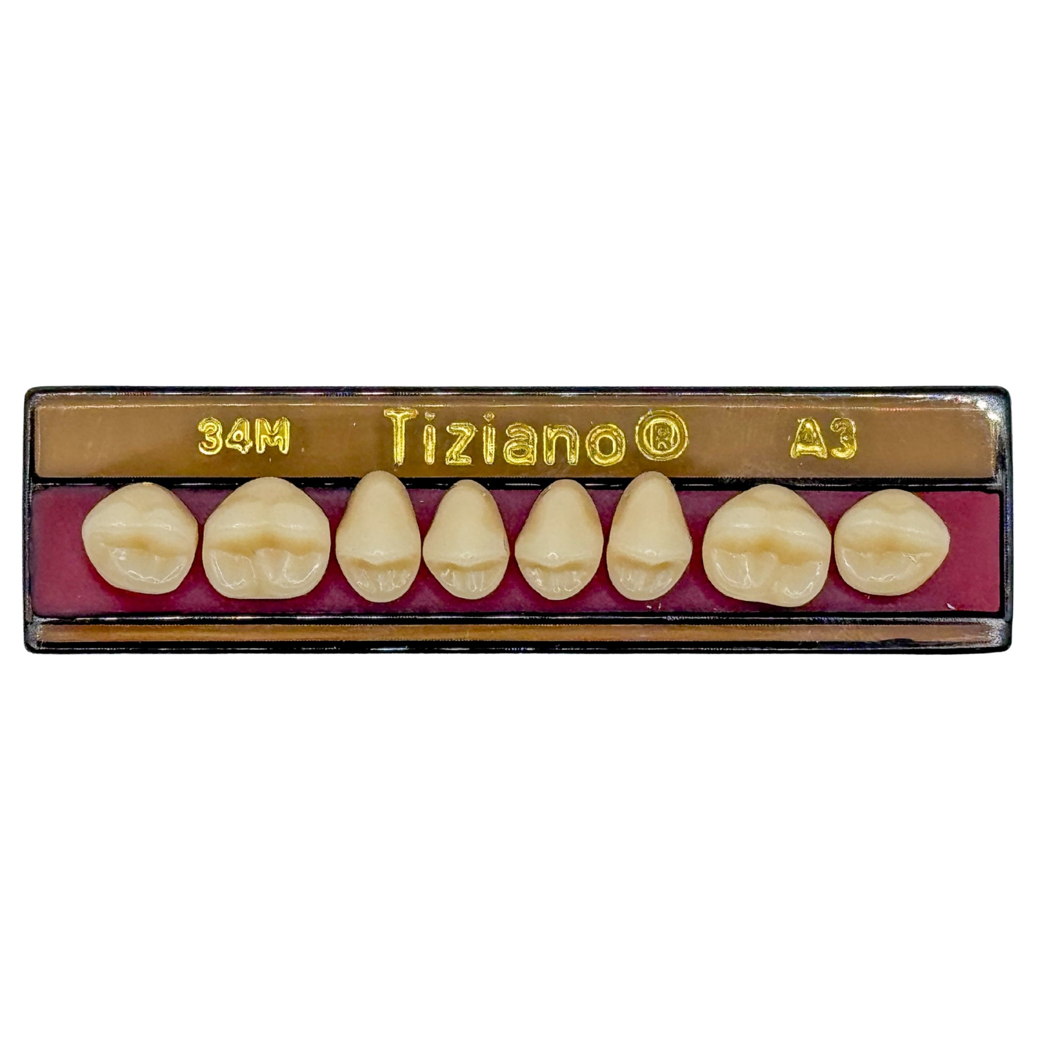 Dientes tiziano x 8 sp 34M col A3